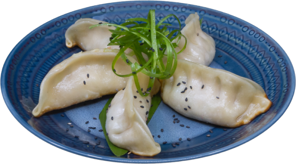 Chicken_and_Vegetable_Pot_Stickers1